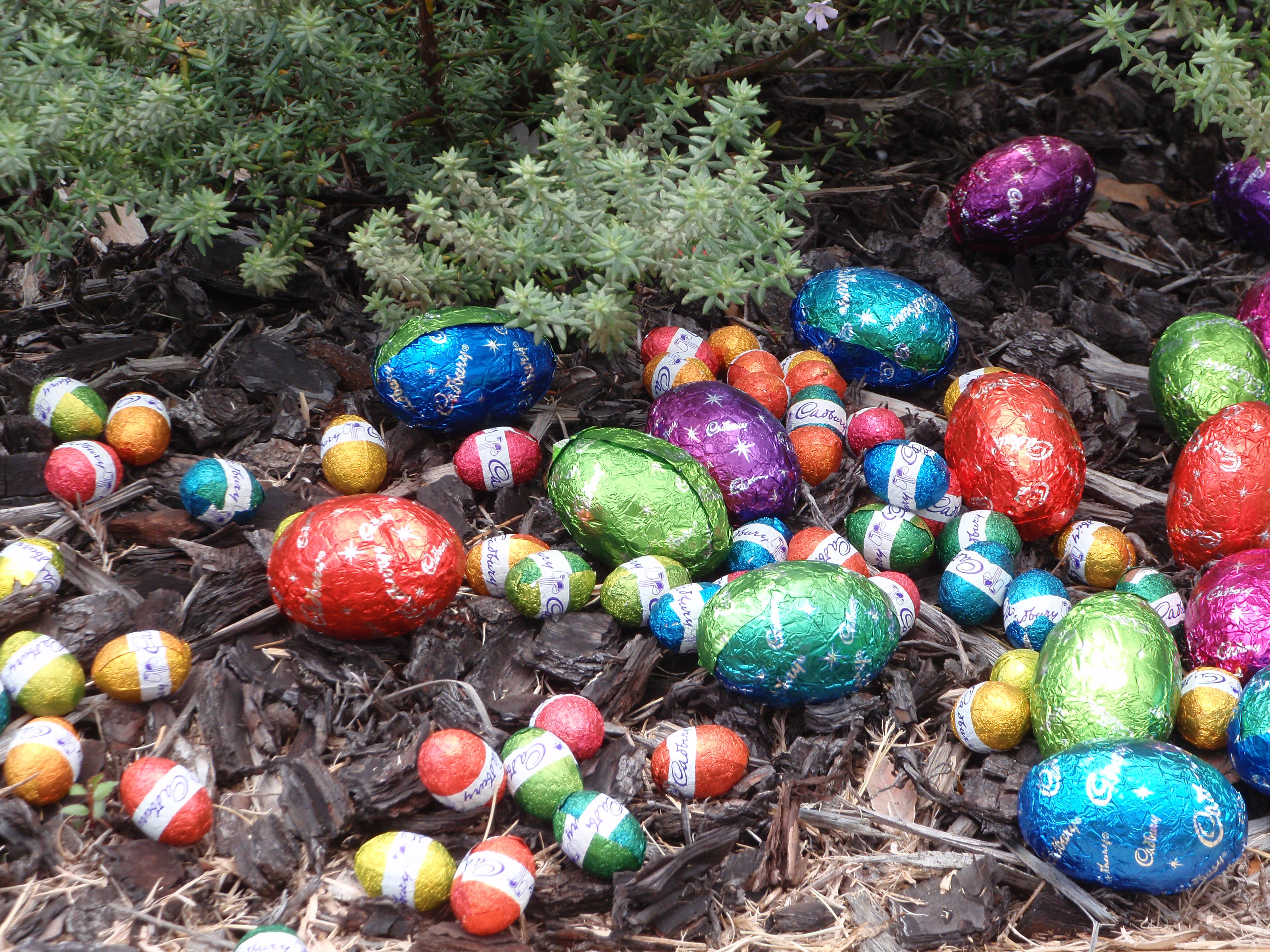 There's plenty of wonderful places to stage an Easter Egg Hunt in Newcastle. 